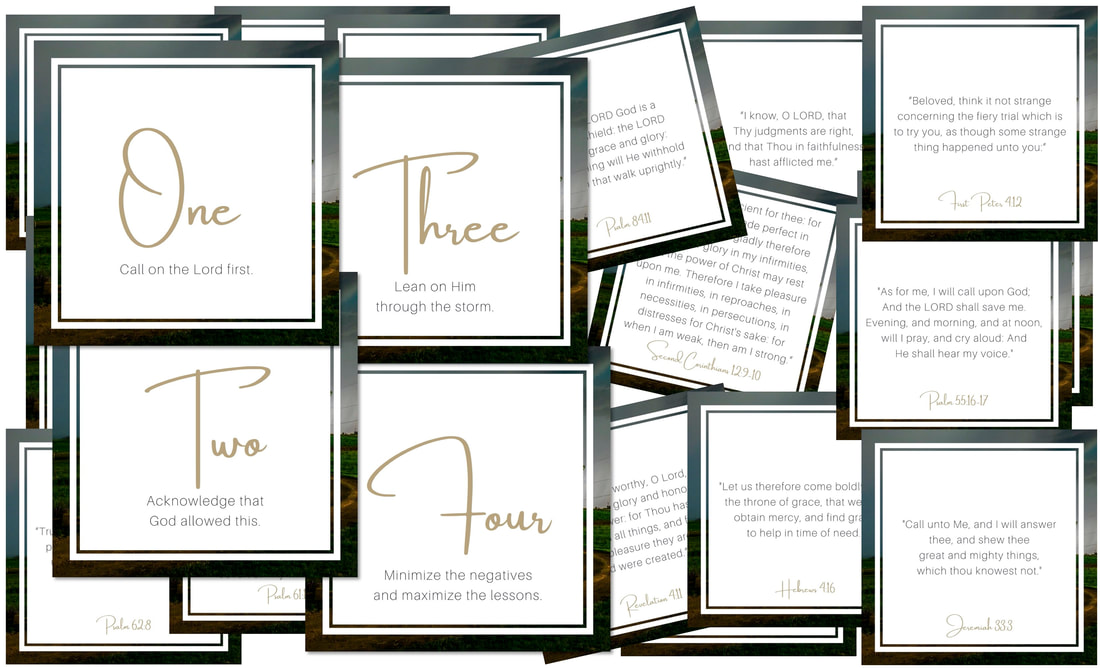 ​CALM in the Storm Scripture Memory Cards