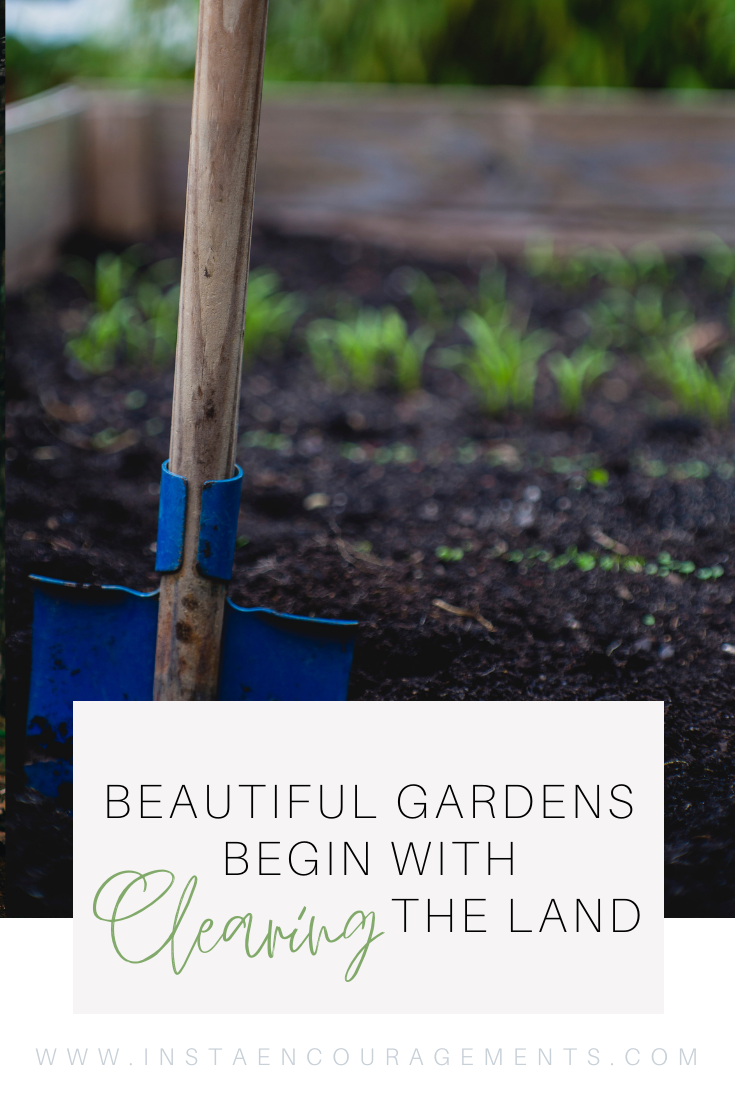 Beautiful Gardens Begin With Clearing the Land