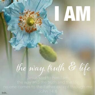 I AM the Way Truth and Life
