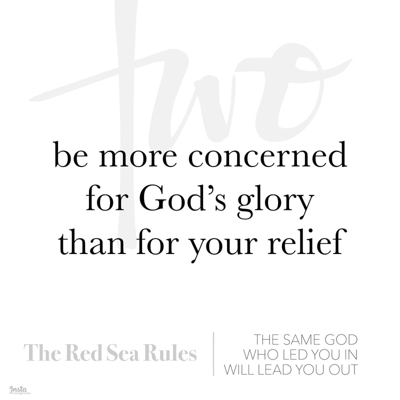 The Red Sea Rules #2