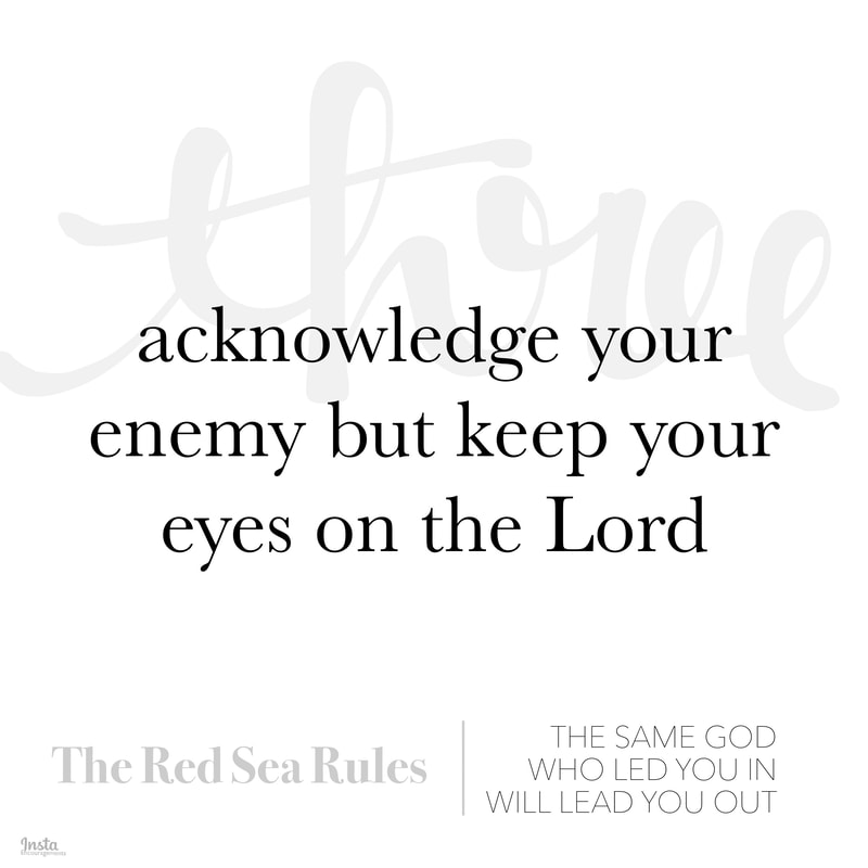 The Red Sea Rules #3