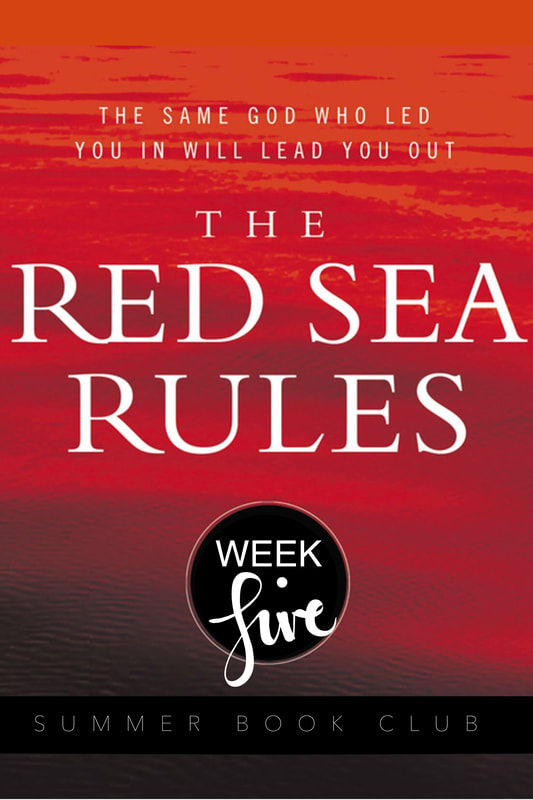The Red Sea Rules: Week 5 One night when I was worried sick about something, I found four words sitting quietly on page 1291 of my Bible. I’d read them countless times before, but as I stared at them this time, they fairly flew at me like stones from a slingshot. The four words, now well underlined in my New International Version, are leave room for God.