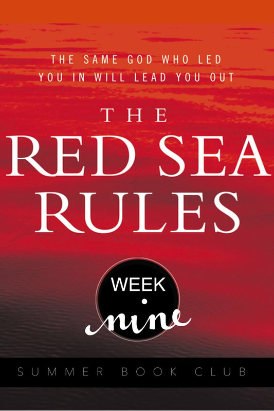 The Red Sea Rules: Week 9