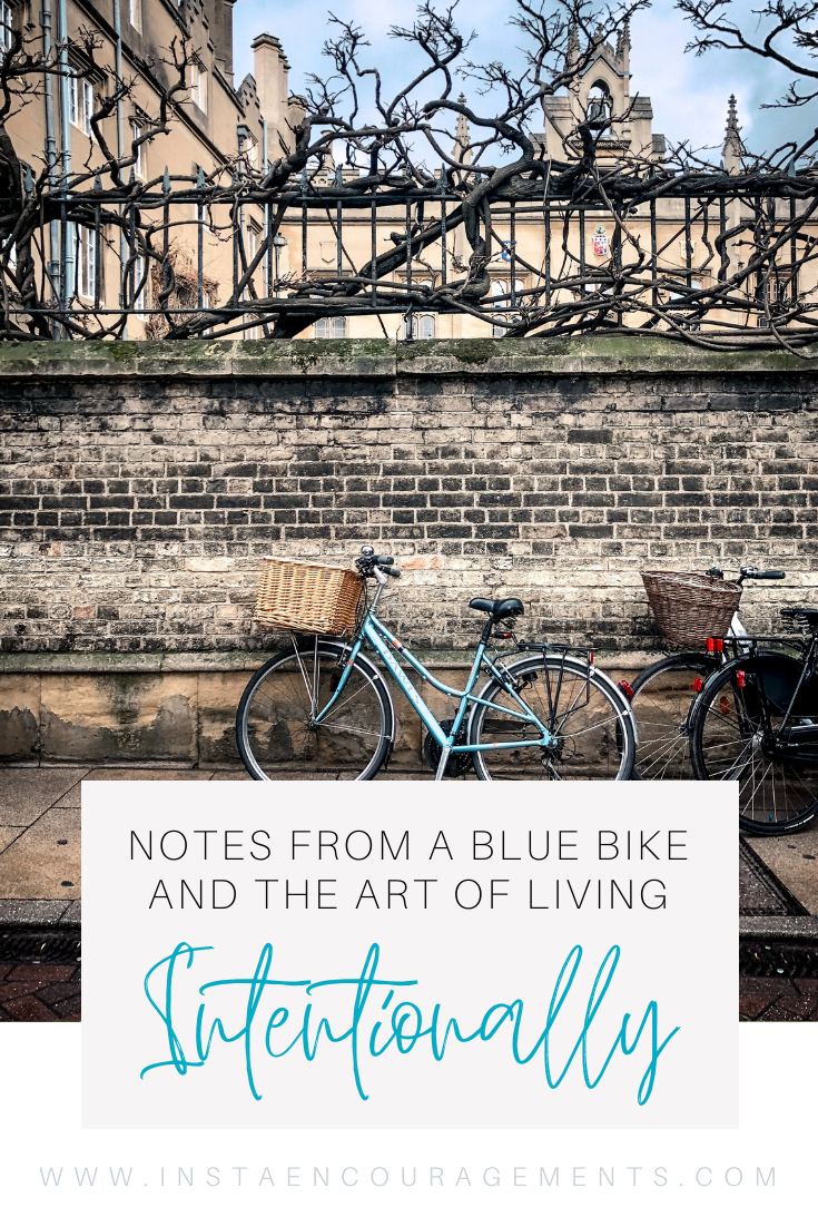 Notes From a Blue Bike