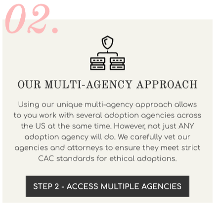 CAC Multi Agency Approach