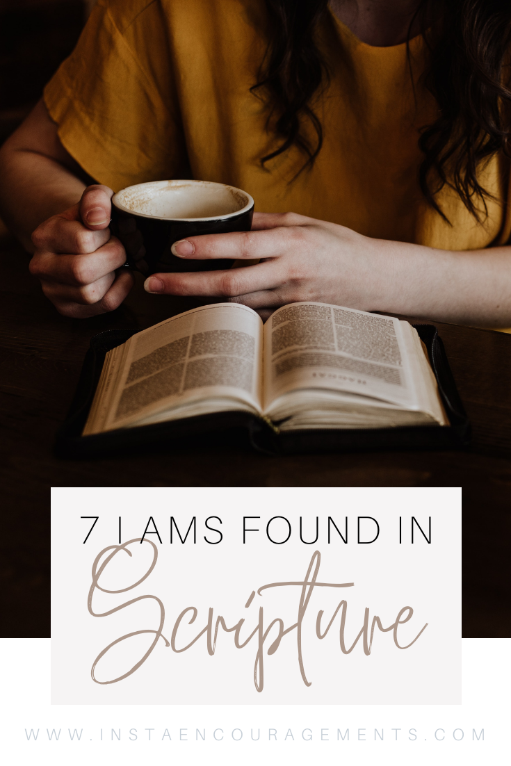 7 I AMs Found in Scripture 