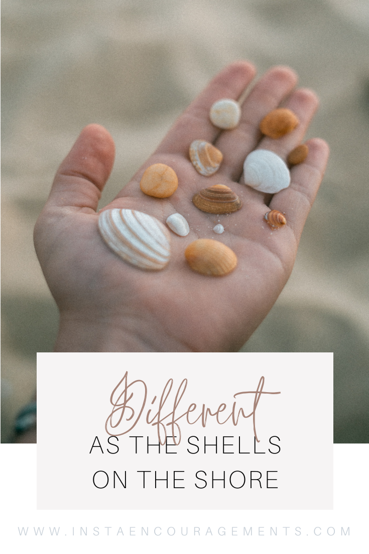 Different as the Shells on the Shore