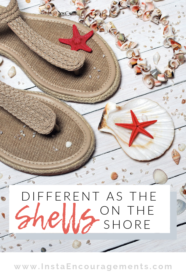 Different as the Shells on the Shore