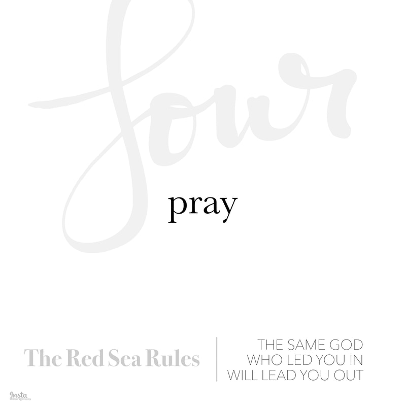 The Red Sea Rules Week 4: How do you trust God with difficulties that are so overwhelming? I’m grateful that Robert Morgan breaks faith down into distinct steps that can help us walk with God one day at a time through all of life’s challenges. 