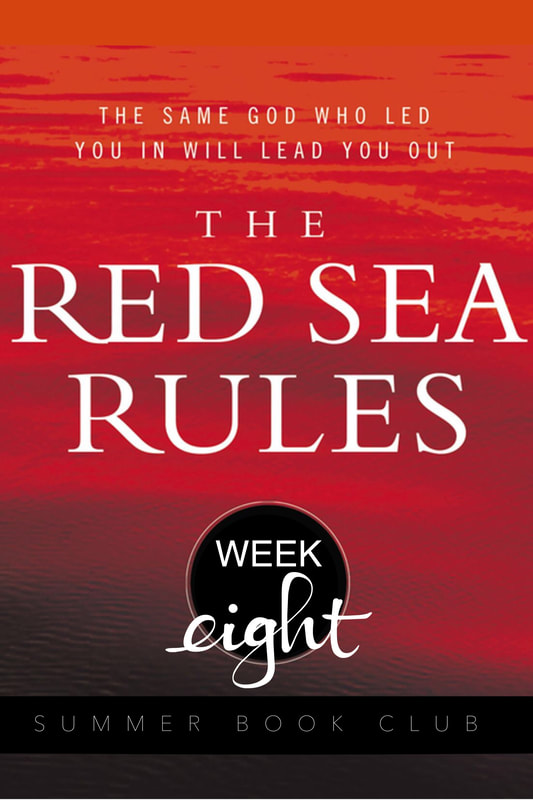 The Red Sea Rules: Week 8