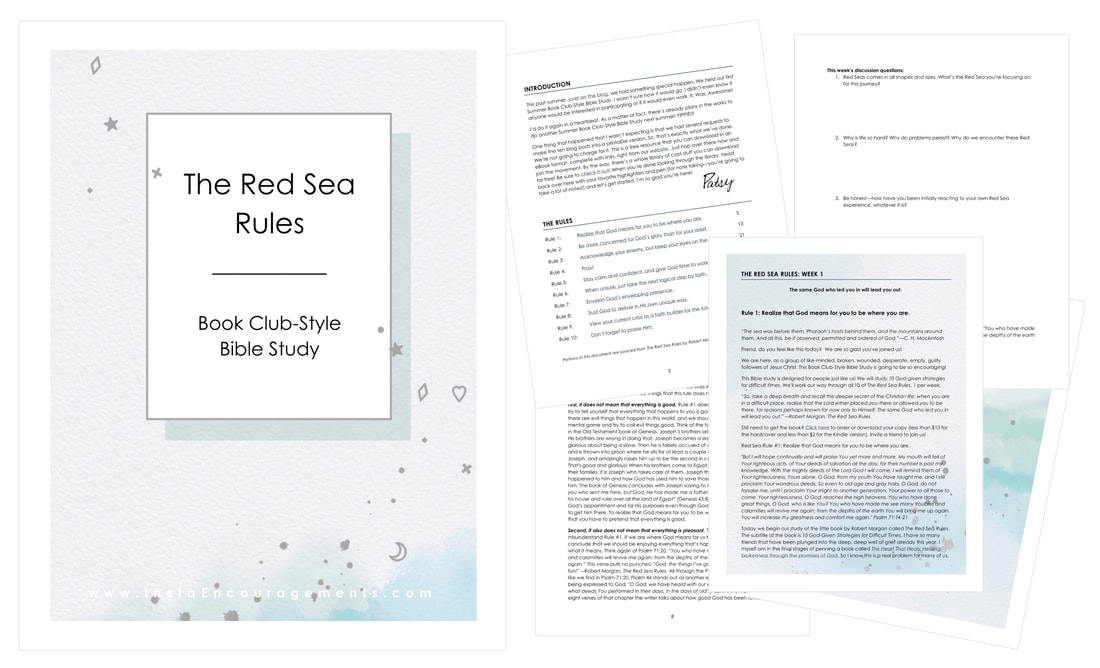 The Red Sea Rules roundup eBook
