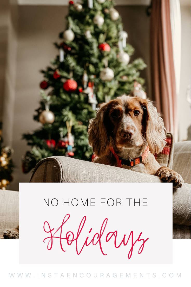 No Home For the Holidays