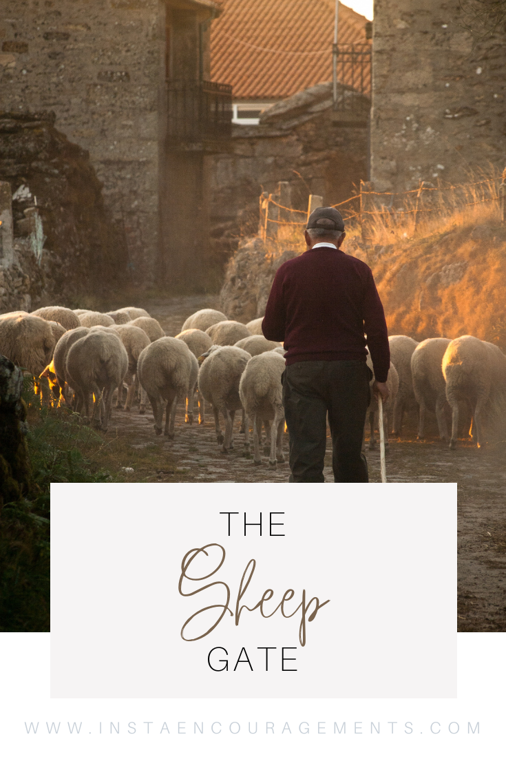 ​I love the story of #Nehemiah and the people of #Israel rebuilding the walls of their beloved homeland. This rebuilding of the walls of #Jerusalem has #spiritual significance for us today!​ ​But what caught my attention was that they built the #SheepGate first. “Then Eliashib the high priest rose up with his brothers the #priests, and they built the Sheep Gate” (Nehemiah 3:1). I knew when I read “Sheep Gate” there had to be some spiritual significance to that. #Biblestudy #Biblereadingplan #God