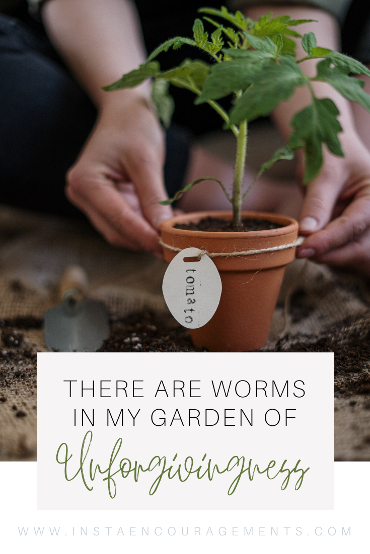 There are Worms in My Garden