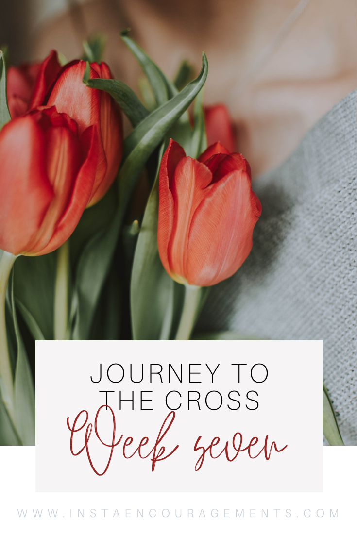Journey to the Cross: Week Seven