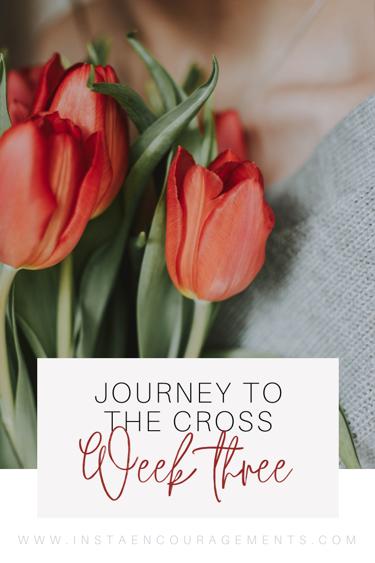 Journey to the Cross: Week Three