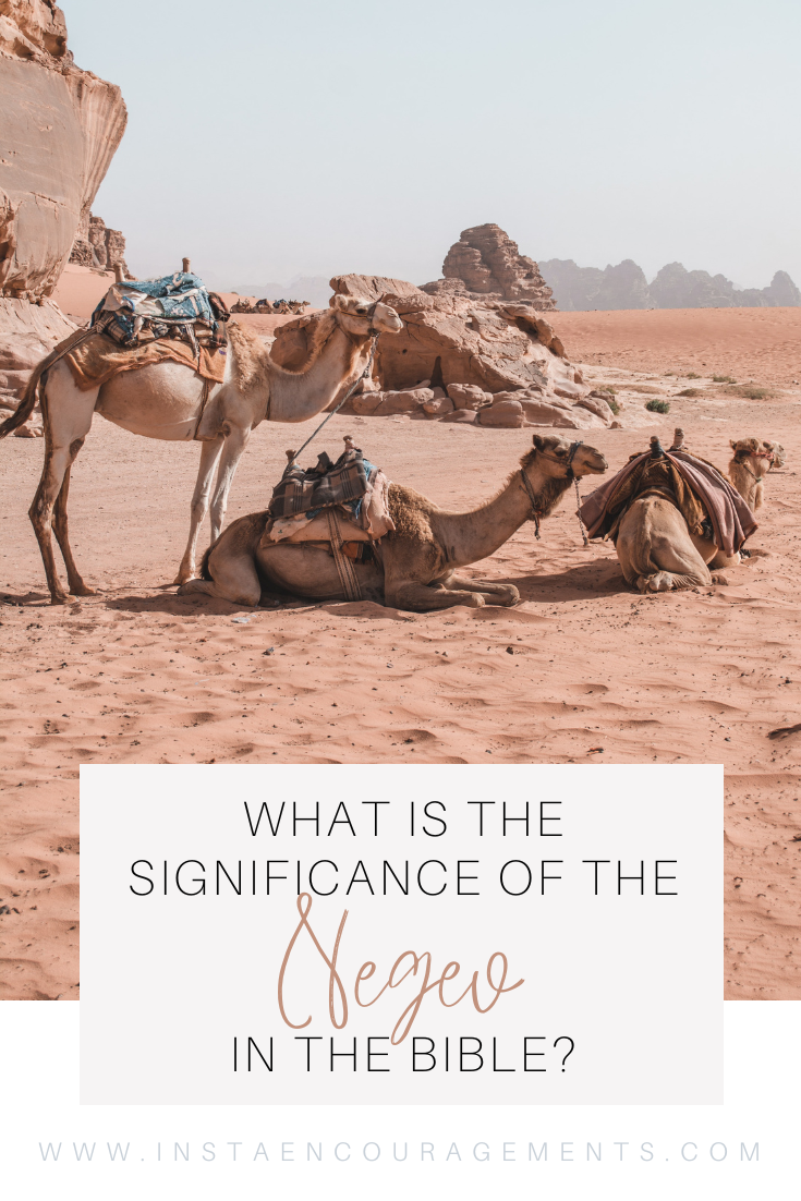 What is unique about the #Negev desert? What sets the Negev apart from any of the other deserts in #Israel? First thing is that despite being a #desert, the Negev covers about 55% of Israel's landmass area. It is also home to more than 8% of the total #Israeli population. According to historians, the Negev desert is one of the oldest discovered surfaces on earth. The dead sea and the ancient fortress of Masada are located in this region of Israel. ​But what does the Bible say about the Negev?